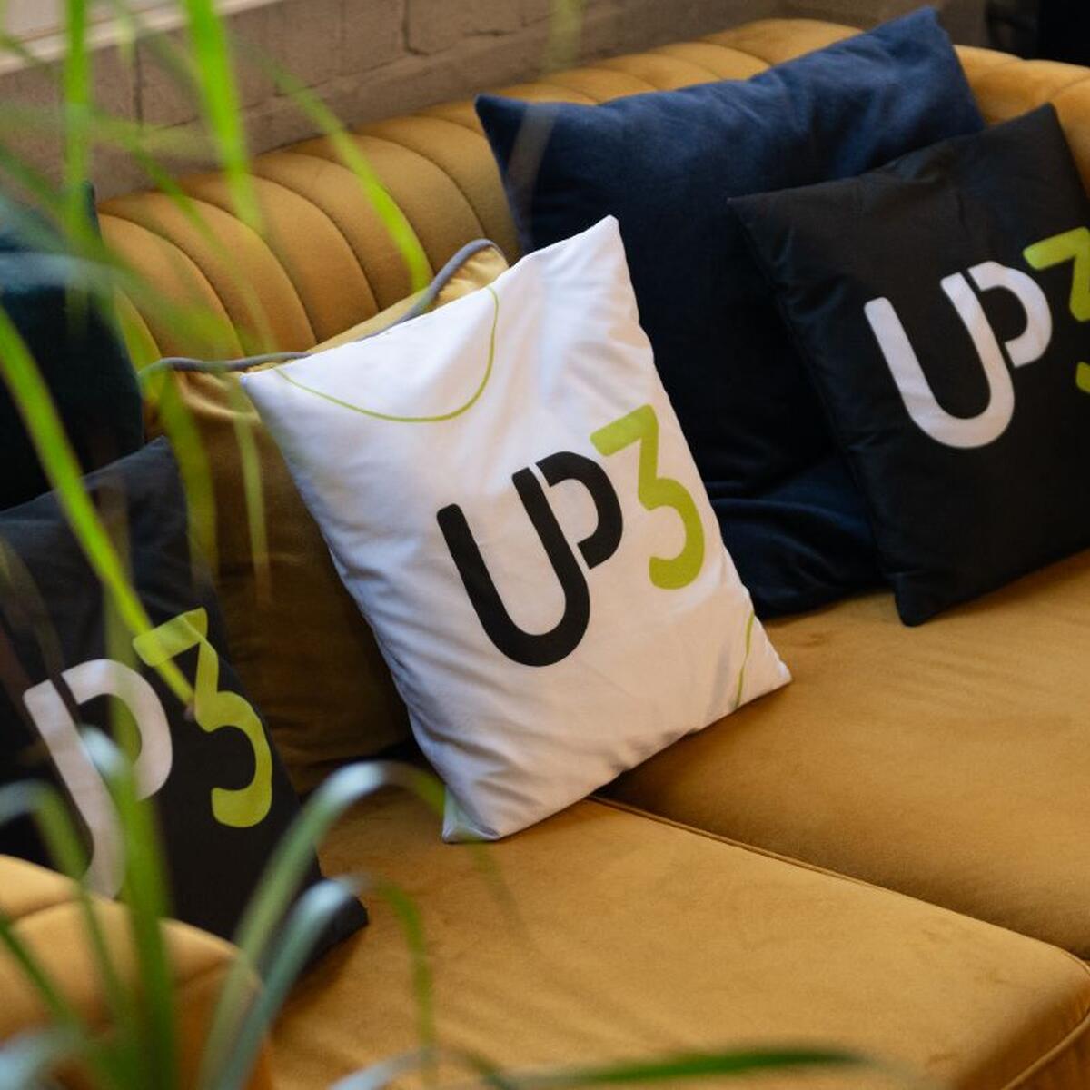 Getting the most from AI: UP3 Managed Service User Group | UP3